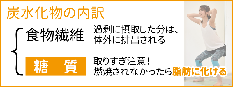 炭水化物の内訳。糖質は取りすぎ注意。燃焼されなかった分は脂肪に化ける。