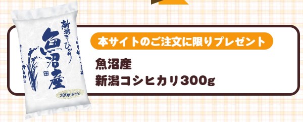 まごころケア食にこしひかりプレゼント