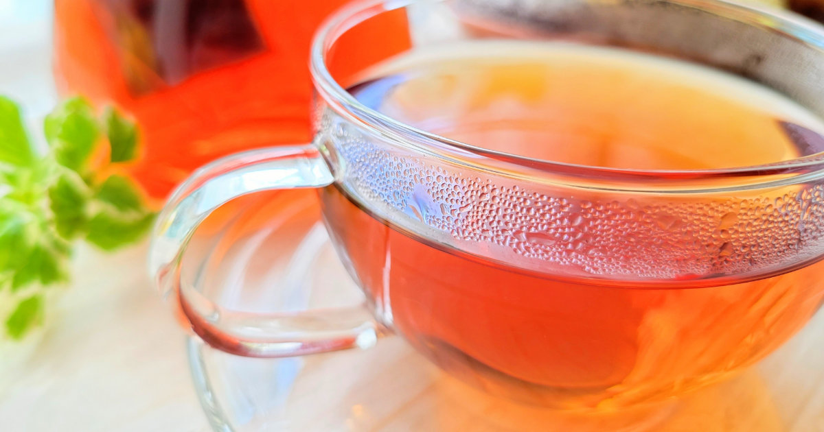 プーアル茶の通販・お取り寄せおすすめ人気ランキング！ | mealee