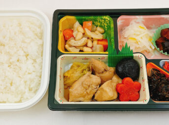 土佐の恵み彩り弁当