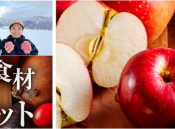 豪雪産地支援!ふぞろい食材おためしセット