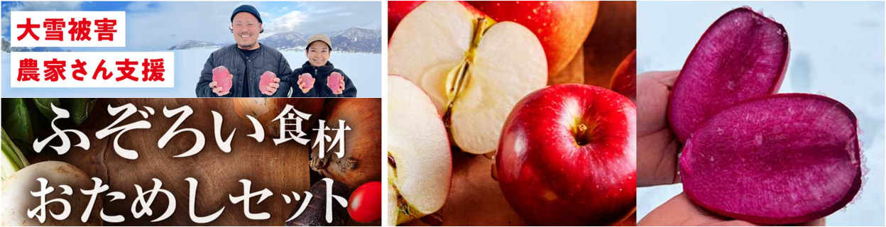 豪雪産地支援！ふぞろい食材おためしセット